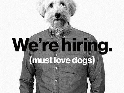 We're hiring!