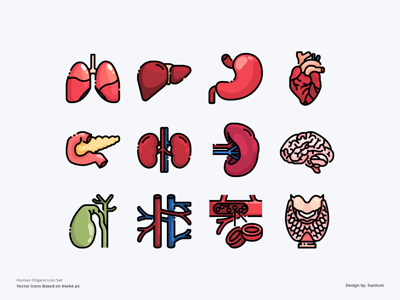 Human Organs Icon Set By Justicon On Dribbble