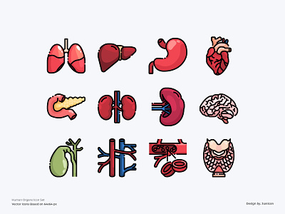 Human Organs Icon Set body part color line hospital human organs icon illustration medical outline science symbol vector