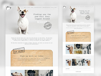 The Dog Files Website clean dog grey ui ux web design web development white wordpress