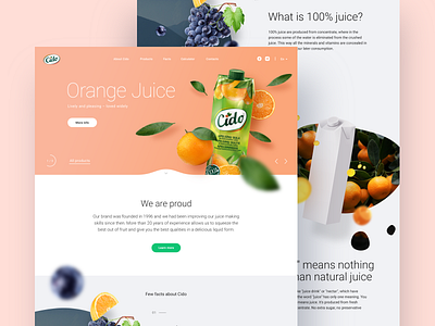 WIP Cido landing page