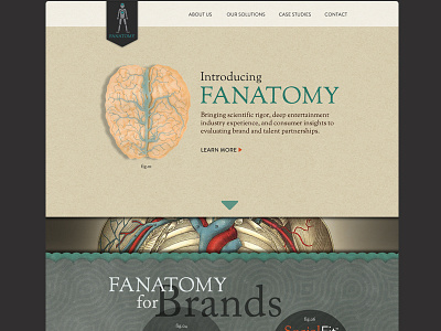 Fanatomy Website anatomy design parallax type ux website