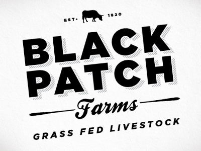 Black Patch Farms cattle farm logo