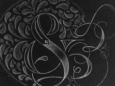 Ampersands ampersand black and white doodle hand lettering lettering sketch type