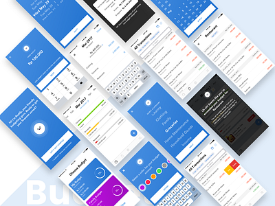 Budget Buddy budget app finance app mobile app design ui design wireframe