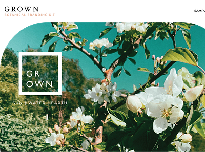 BRANDING KIT | Botanical branding branding set logo vector visual design