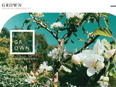 BRANDING KIT  | Botanical