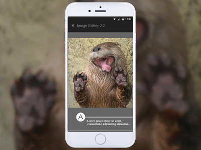 Otters! Sequential Gallery A gallery made with invision mobile ux wireframes