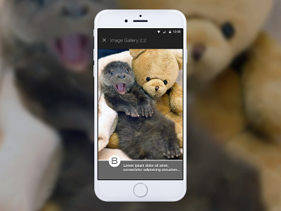 Otters! Sequential Gallery B made with invision mobile prototype ux