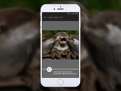 Otters! Sequential Gallery C landscape made with invision mobile prototype ux