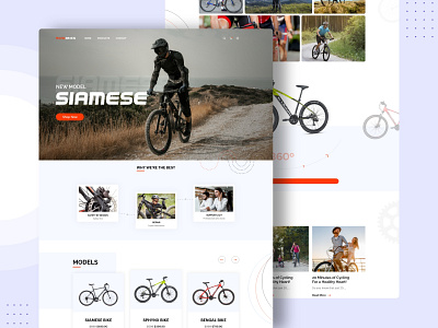 Online Cycle Store