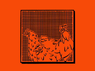 Chicken coop #01 2d chicken hen holiday illustration ipad