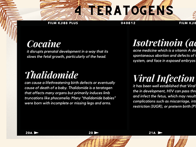 4 teratogens