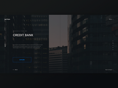 NUTTELE - project page awards banking dark ui it company photo slider ui ux design ux