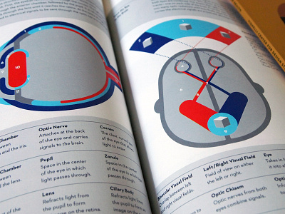 Human Body Book book eyes illustration information design layout print