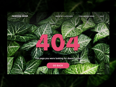 404 Page