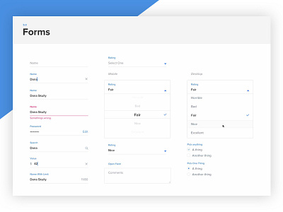 Forms app design system desktop form input native states