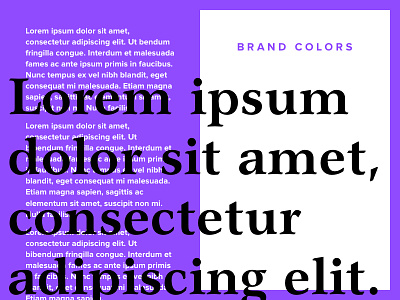 Brand Colors bold branding color purple serif typography