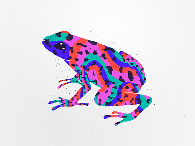 Poison Frog animal animal print character frog illustration pattern poison psychedelic textile texture trip