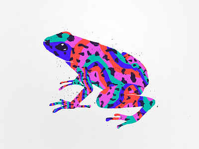 Poison Frog