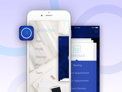 Gystnow Original Mockup