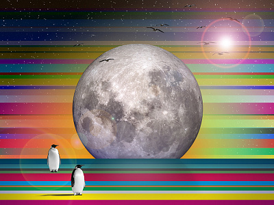 New Moon 2017 birds colors moon penguin
