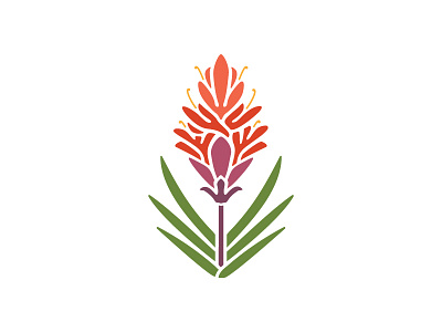 Flower logo study