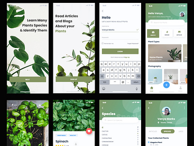 Plant App Design app design ui ux