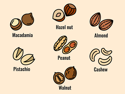 Nut icon set line color vector almond cashew design hazel nut icon set illustration line icon line icons macadamia nut icons peanut walnut