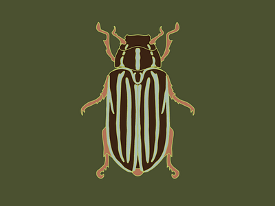 ten-lined june beetle beetle graphics ill illustration insects june beetle junebug striped beetle vector