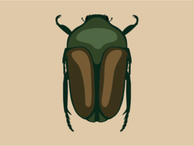 Green June Beetle beetle graphics green beetle illu illustration insects june beetle junebug vector