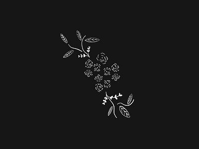 Flowers made on iPad pro black and white flowers greens illustration ipad ipad pro