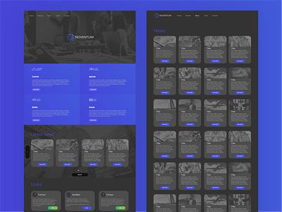 Noventum website concept blue branding design graphic design illustrator logo ui vector webdesign webdeveloper