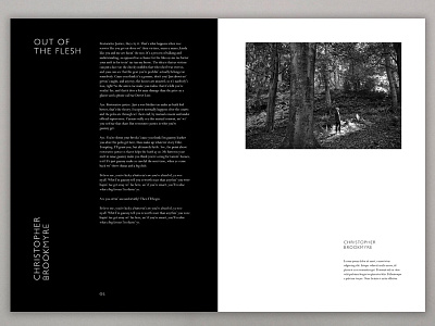 Natural Light II art direction book jacket photography poetry typography