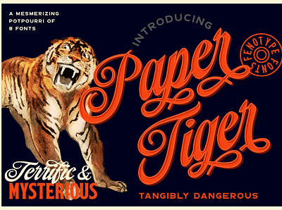 Paper Tiger - Vintage Type Family brush flared serif font illustration script typeface typography victorian vintage