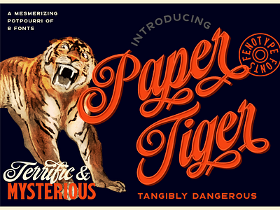 Paper Tiger - Vintage Type Family