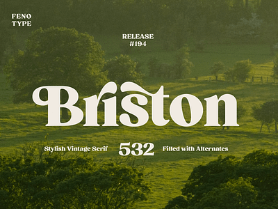 Briston Typeface 1960s 1970s alternates bold font serif type design typeface typography vintage