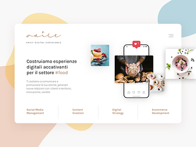 Anice — Food Marketing Agency