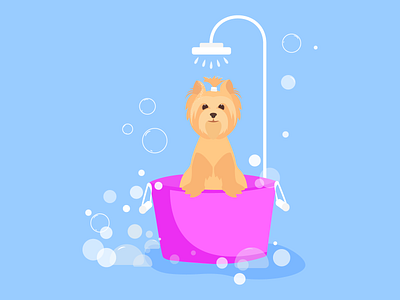 Grooming bathing dog grooming haircut salon spa