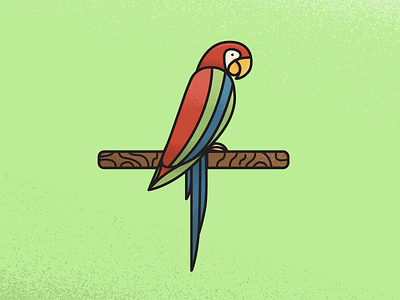 Parrot bird illustration parrot