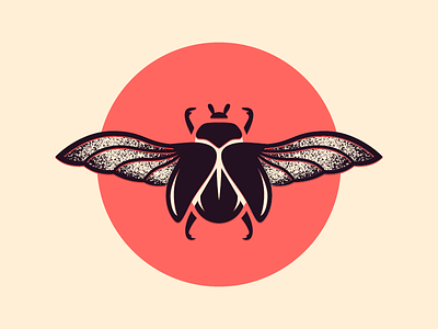 Beetle beetle bug illustration