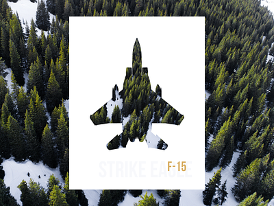 Air/Spacecraft Series: F-15 STRIKE EAGLE aerial aerospace aircraft airplane eagle f 15 fighter jet jetup poster srike trees typography usaf