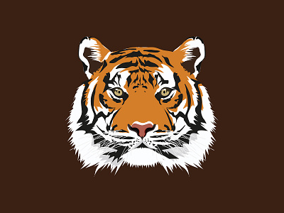 Head of Bengal Tiger vector illustration.