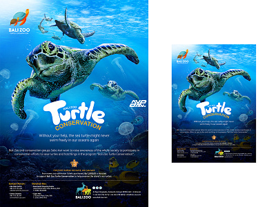 Bali Zoo Turtle Conservation Poster 2016 art bali balinese design graphic design illustration poster turtle