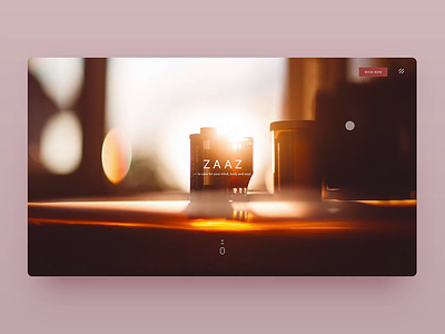 ZAAZ - Packages animation packages relax relaxing website spa spa website ui ux ux ui web animation website website animation