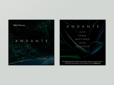 Andante album cover cd music