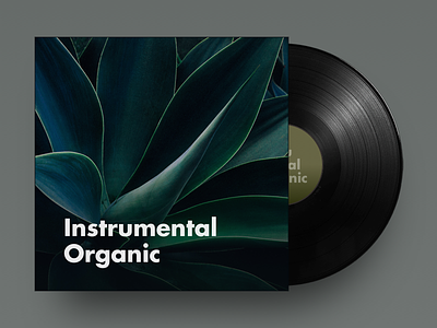 Instrumental Organic album cover music playlist spotify