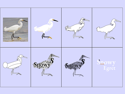 Snowy Egret Study design graphic design