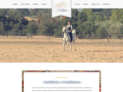 UI Design Project antique look graphic design horse farm house ui design web design