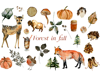 Forest in Fall - Watercolor PNG clipart set animals autumn clipart design fall forest forest animals illustration png png clipart watercolor watercolor clipart